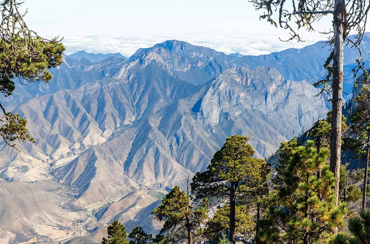 colonias de Coahuila