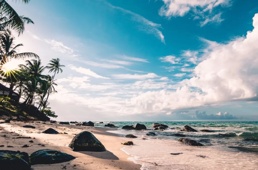 Playa con piedras y palmeras